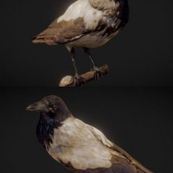 3D model The Crow – Scanned 3D Model