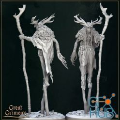 3D model Swamp Witch - 3D Print