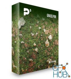 PBR texture CGAxis – Physical 5 Grass PBR Textures